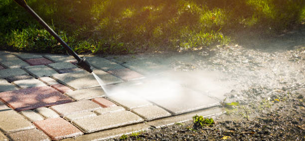 Best Driveway Pressure Washing  in Waterville, OH